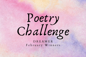 February Poetry Challenge Winners